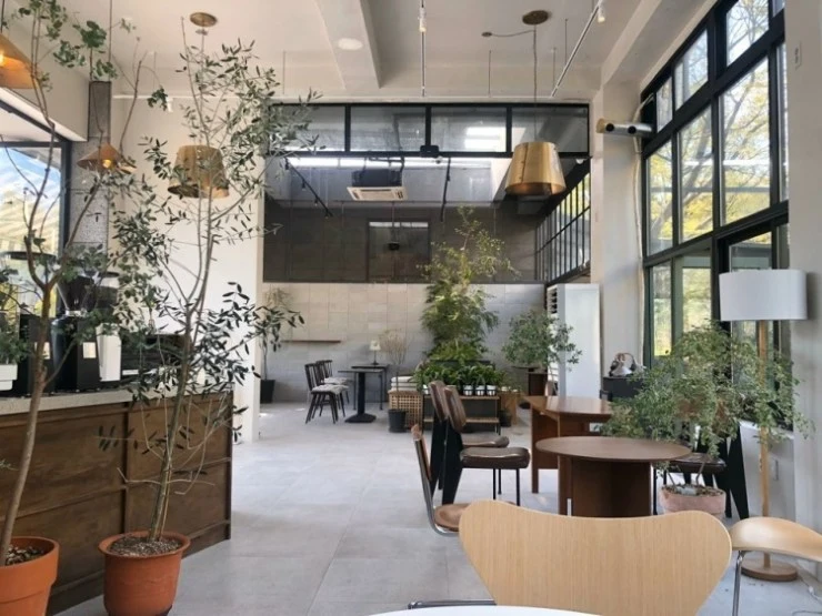 common-7-1.jpeg?resize740%2C555amp;ssl1