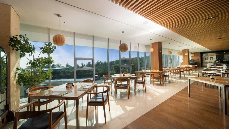 w-bf.jpg?fit=740%2C416&ssl=1