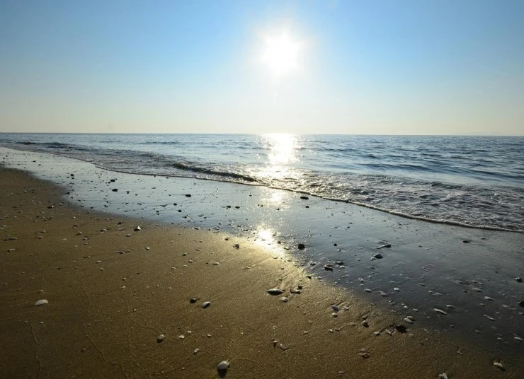 f-1.jpeg?fit=740%2C536&ssl=1