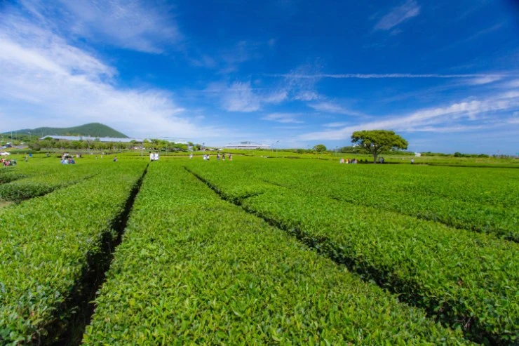 %E1%84%83%E1%85%A1%E1%84%8B%E1%85%AE%E1%86%AB%E1%84%85%E1%85%A9%E1%84%83%E1%85%B3-2022-05-12T225741.590.jpeg?resize740%2C493amp;ssl1