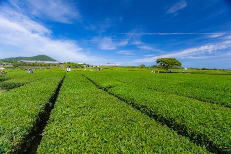 20210409_213827263.jpg?w=740&ssl=1