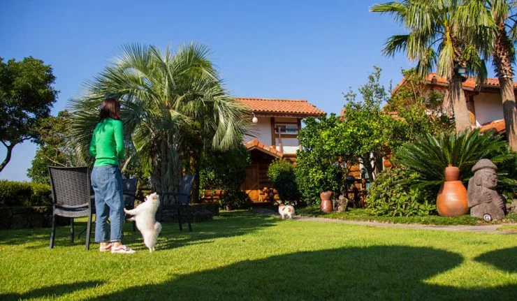 w-gar-1024x597.jpg?resize740%2C431amp;ssl1