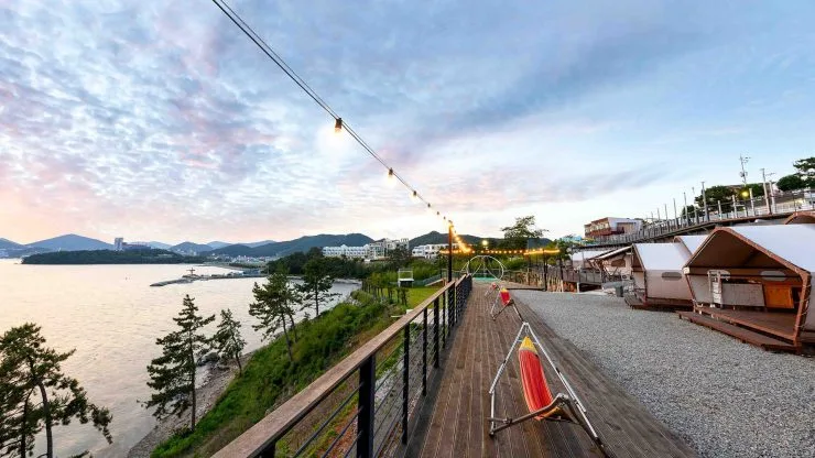 y-1.jpg?resize740%2C416ssl1