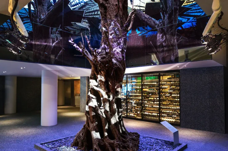 dfb.png?resize740%2C493amp;ssl1