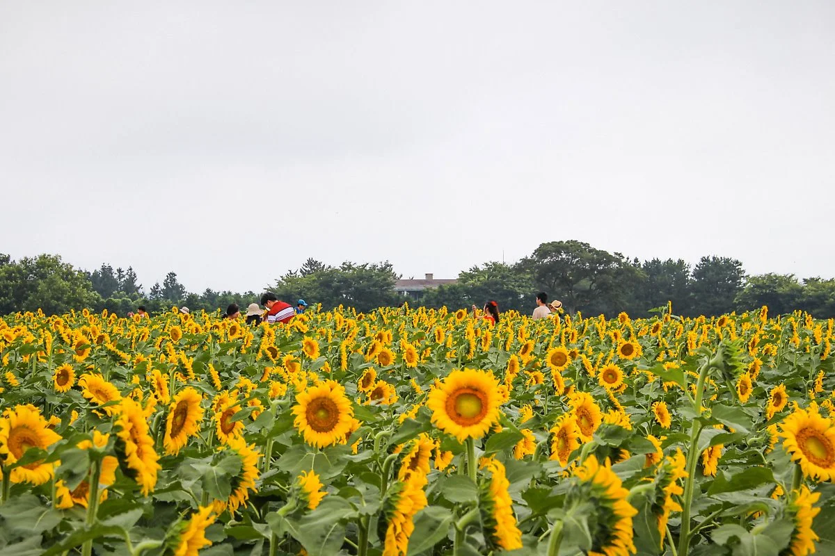 IMG_5078.jpg?type=w1200