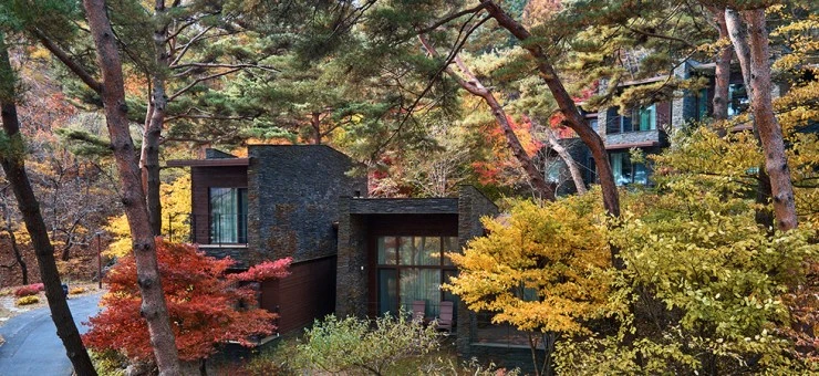 forest_concept_01_1.jpg?resize740%2C340amp;ssl1