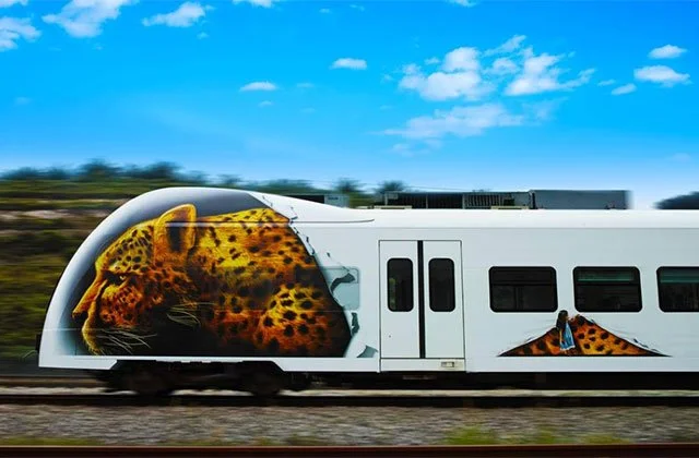 14813595616390.jpg?type=w1200