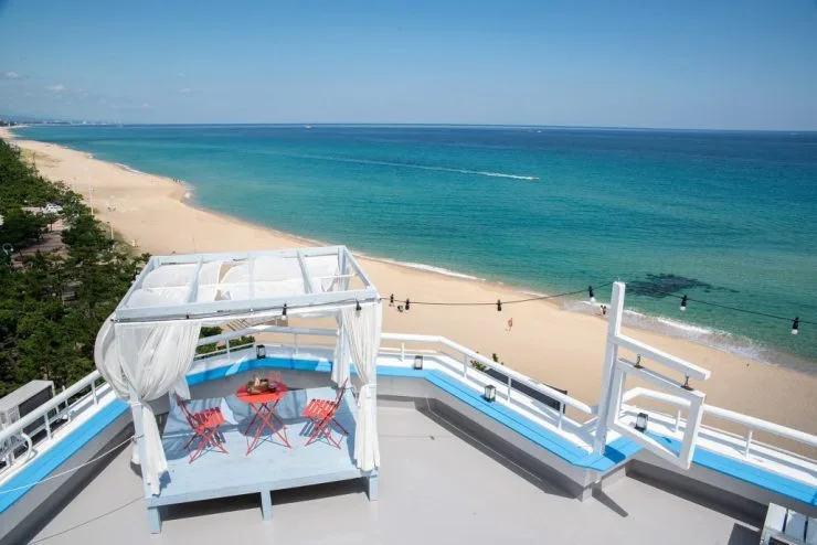 your-roof3.jpg?fit740%2C494ssl1