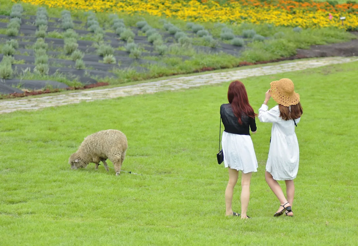 %EB%B3%B4%EB%A1%AC%EC%99%93.jpg?type=w1200