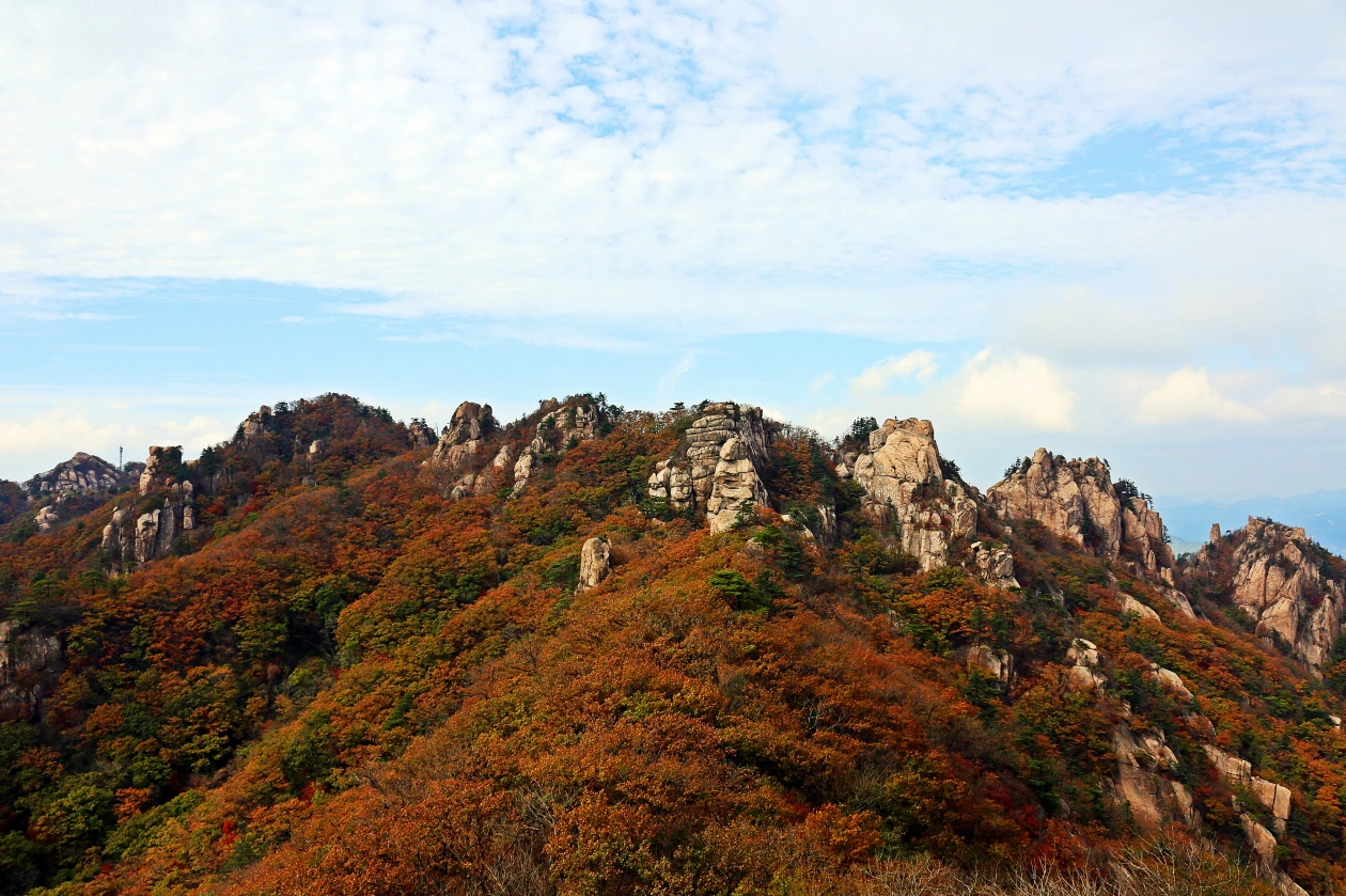 국내 가을 여행_메인 (2).JPG