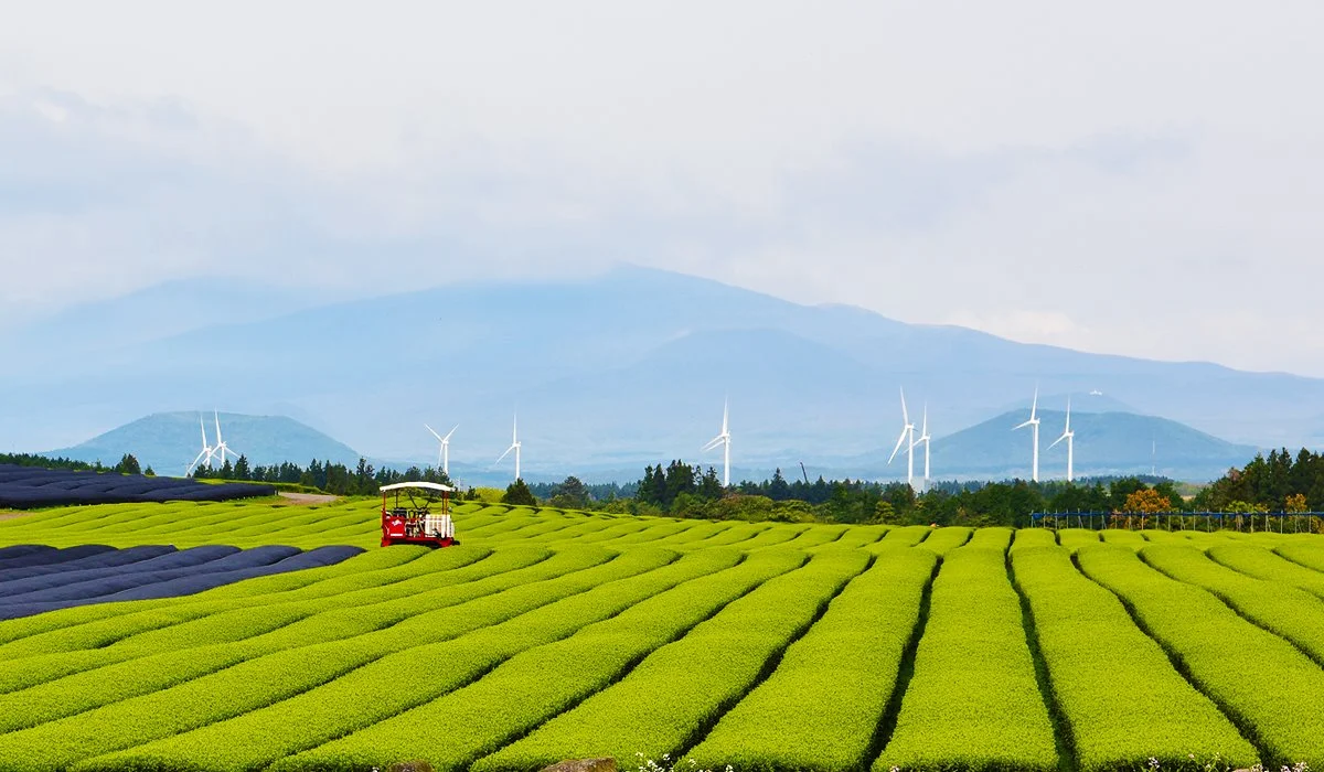 %EC%98%A4%EC%84%A4%EB%A1%9D.jpg?type=w1200