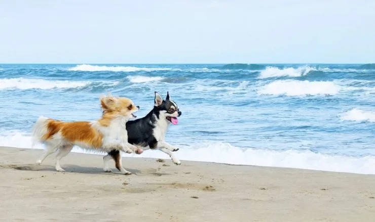 4-5-1024x607.jpg?resize740%2C439amp;ssl1