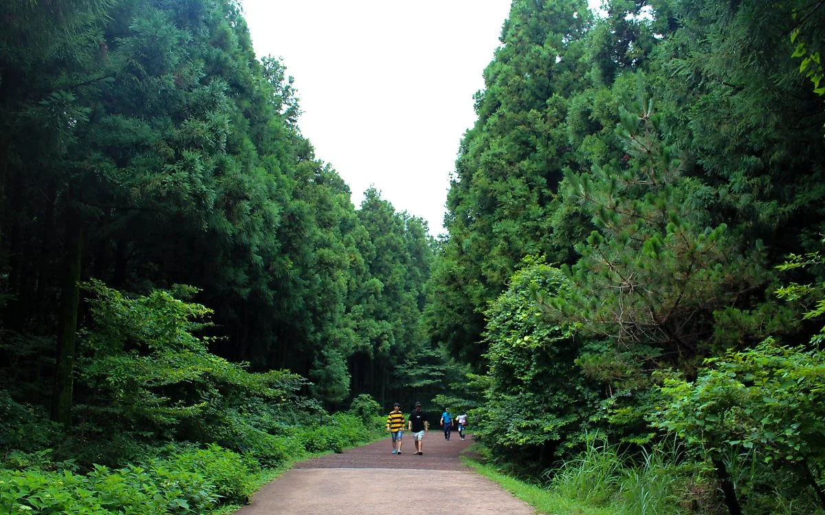 IMG_5045.jpg?type=w1200