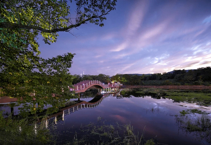 a-31.png?w=740&ssl=1