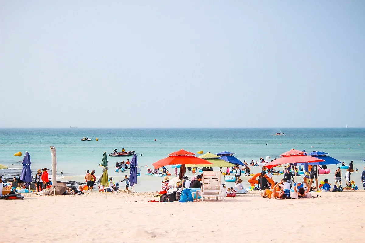 IMG_5274.jpg?type=w1200