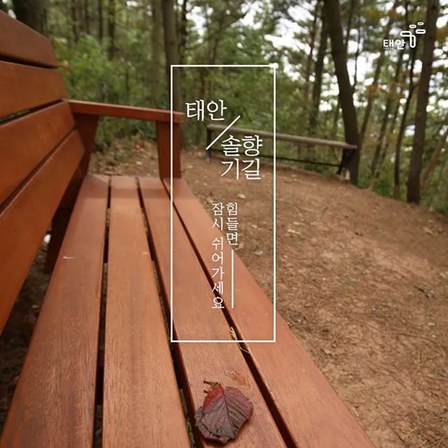 43778895_2011505242298741_5854730820415017181_n.jpg?_nc_ht=scontent-lhr3-1.cdninstagram.com&amp;ig_cache_key=MTg5ODM1MjUwMTUyMDc0NjAwNw%3D%3D.2