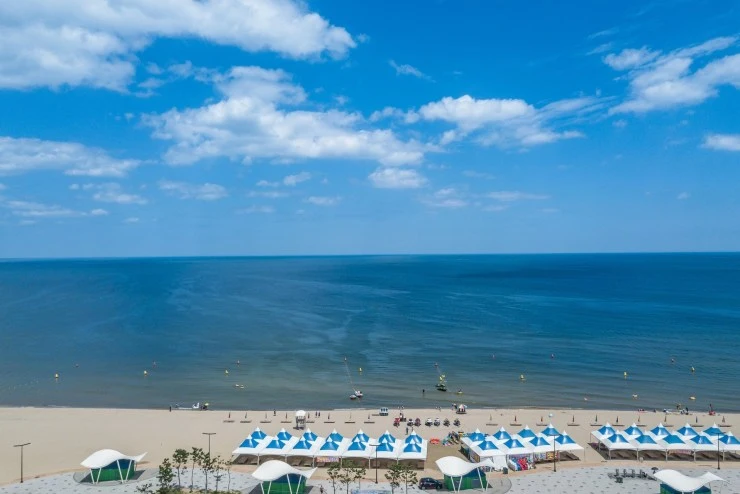 cd.jpg?resize=740%2C494&ssl=1