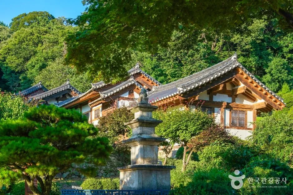 소백산 풍기 온천 리조트 (17).JPG