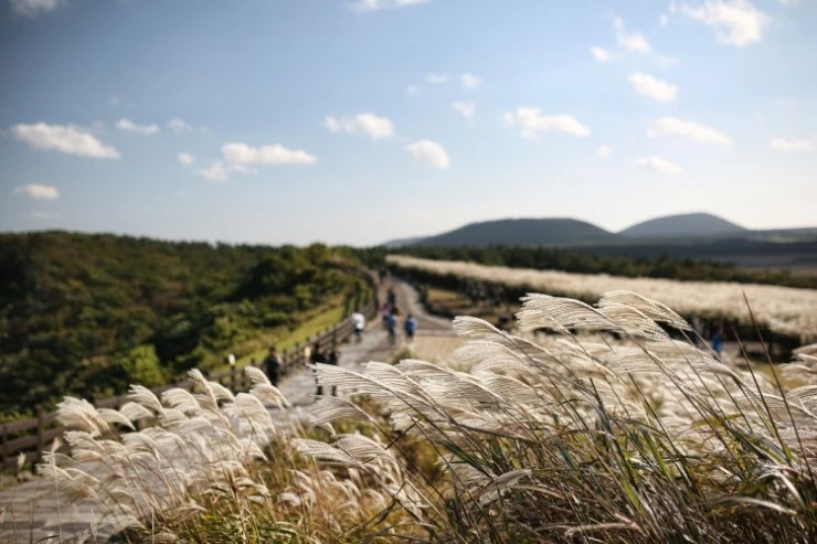 jejuu.jpg?resize=740%2C493&ssl=1