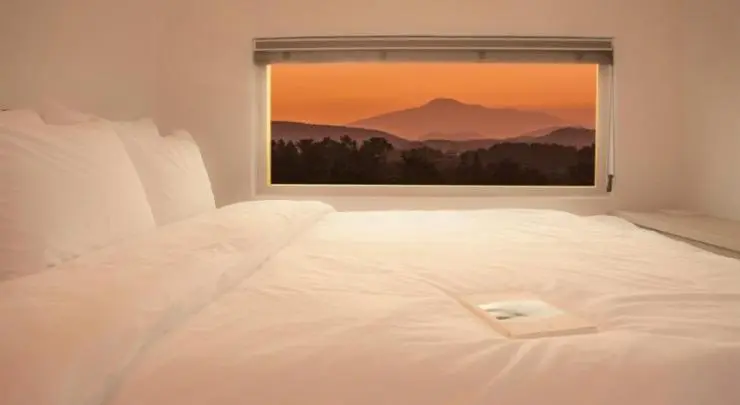 256590937.jpeg?resize740%2C405amp;ssl1