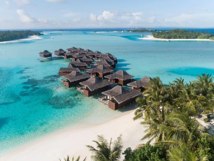 a3d0c6cf82f38680fcc2c95c4d8a05c8.webp?resize740%2C555amp;ssl1