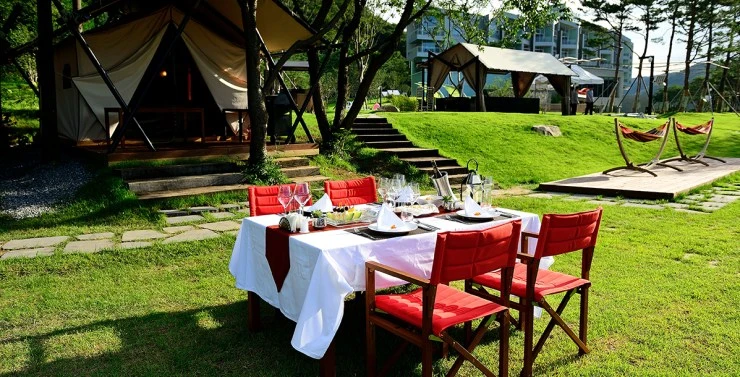 d-8.jpg?resize740%2C377amp;ssl1