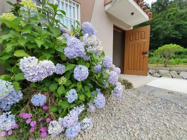 t-exx-1024x768.jpg?resize740%2C555ssl1