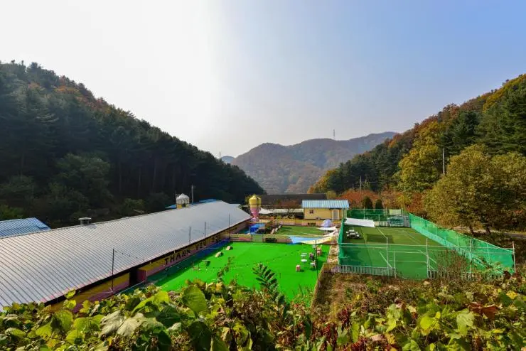 t-ex-1.jpg?resize740%2C494ssl1