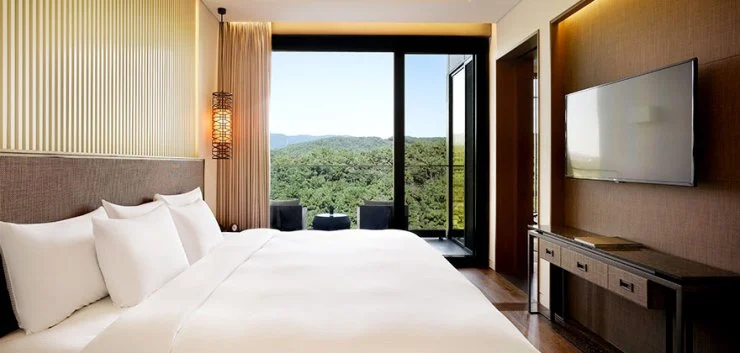 hexe.jpg?resize740%2C353amp;ssl1