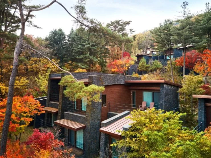 8-12-1024x768.jpg?resize740%2C555amp;ssl1