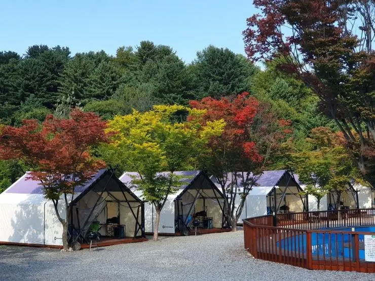 top-5-glamping-spots-in-gapyeong-13-1.jpg?w740amp;ssl1