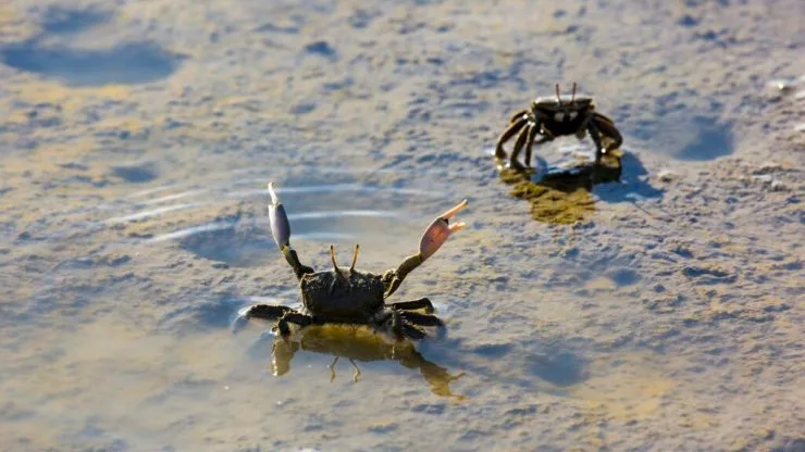 b-sea-1024x576.jpg?resize740%2C416amp;ssl1