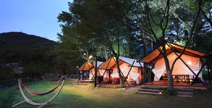 af-2.jpg?resize740%2C377amp;ssl1