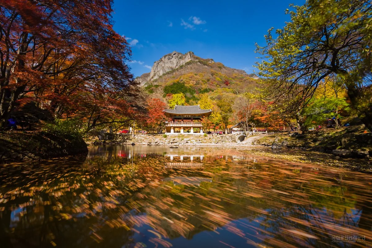 12053_%EB%82%B4%EC%9E%A5%EC%82%B0_%EC%96%B8%EC%A0%9C%EB%82%98%2B%EA%B0%80%EC%9D%84%EC%B2%98%EB%9F%BC_%EA%B0%95%EB%AF%BC_d.jpg?type=w1200