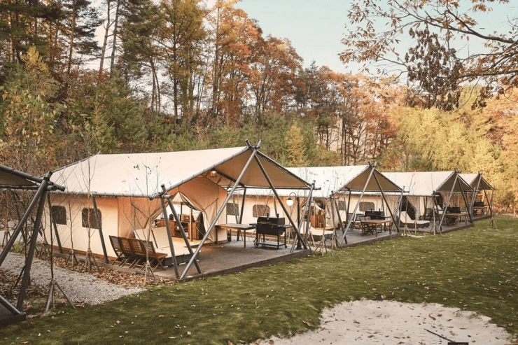 bfac.png?resize740%2C493amp;ssl1