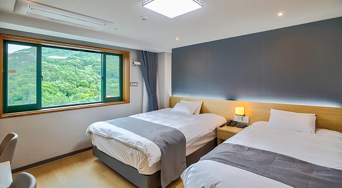 stn_twin01.jpg?resize700%2C385amp;ssl1