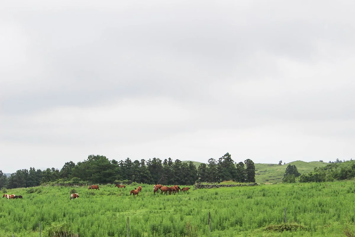 IMG_5170.jpg?type=w1200