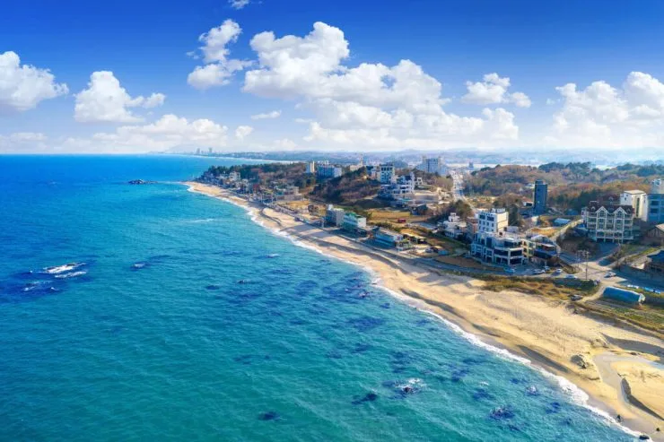 1-14-1024x682.jpg?resize740%2C493amp;ssl1