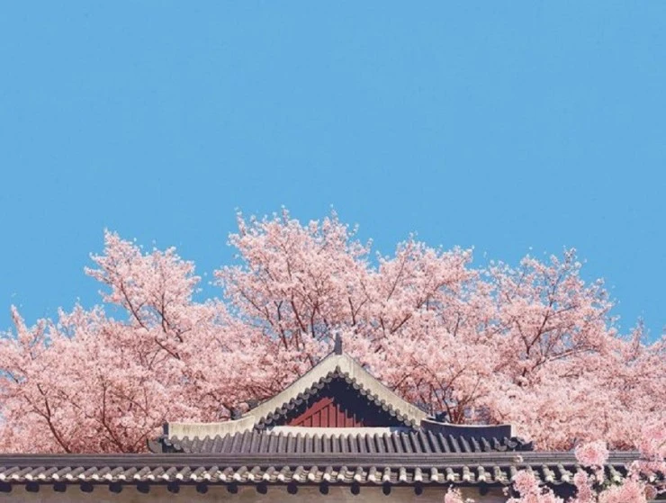 jeonju.jpg?w=740&ssl=1