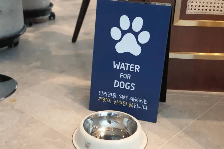 cc-8.png?resize740%2C493amp;ssl1