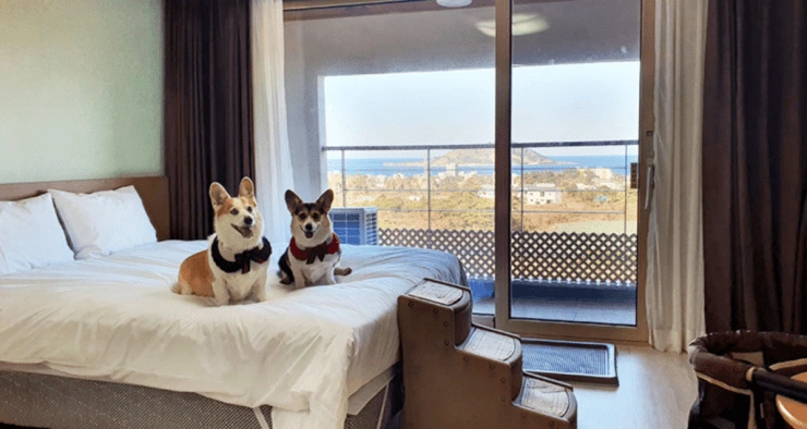 %E1%84%89%E1%85%B3%E1%84%8F%E1%85%B3%E1%84%85%E1%85%B5%E1%86%AB%E1%84%89%E1%85%A3%E1%86%BA-2022-05-26-%E1%84%8B%E1%85%A9%E1%84%92%E1%85%AE-6.17.19-1024x545.png?resize740%2C394amp;ssl1