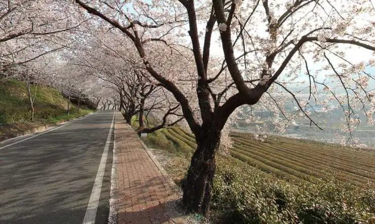 ha.jpg?resize740%2C442amp;ssl1