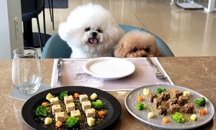 y2-1.jpg?resize740%2C444amp;ssl1