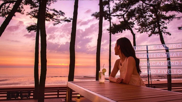 sunset.jpg?resize=740%2C416&ssl=1