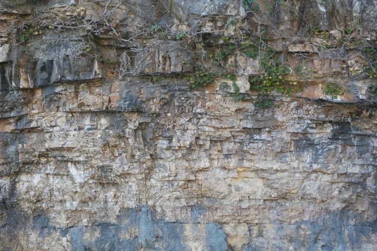 han2.jpg?w740amp;ssl1