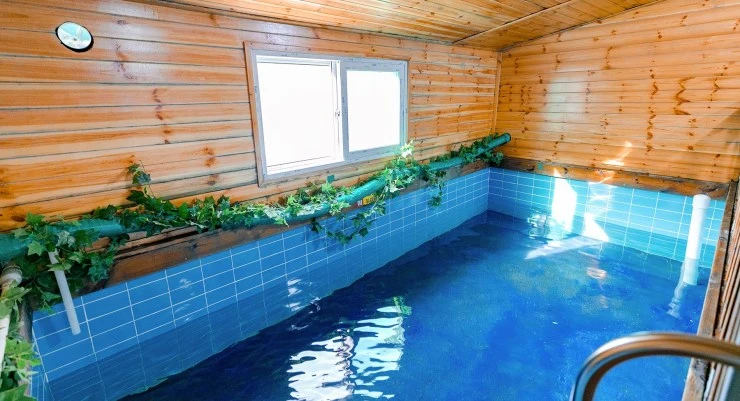 kids-main-1.jpg?resize=740%2C401&ssl=1