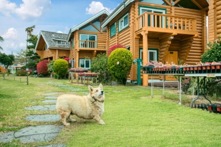 20220125_225030-1.jpg?resize=740%2C492&amp;ssl=1