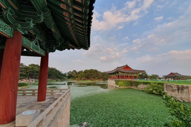 dfd.jpg?fit=740%2C494&ssl=1