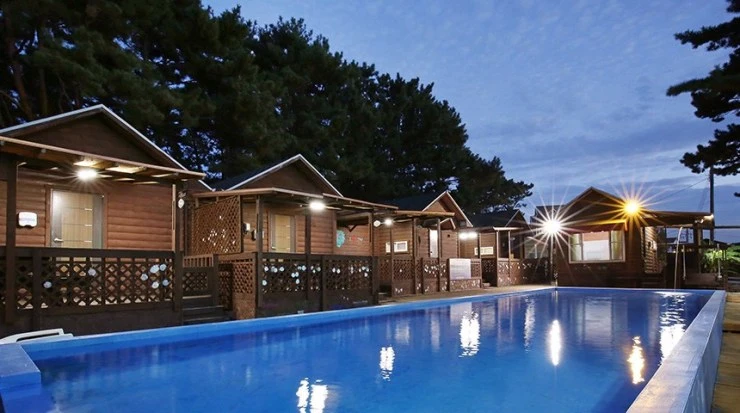 simg_0101-2.jpg?w740ssl1