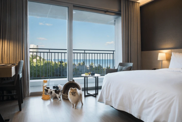 a-14-1024x684.png?resize=740%2C494&amp;ssl=1